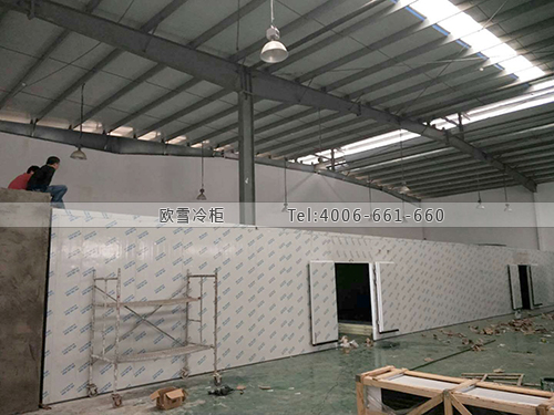 冷庫(kù)冷庫(kù)價(jià)格安裝公司.jpg