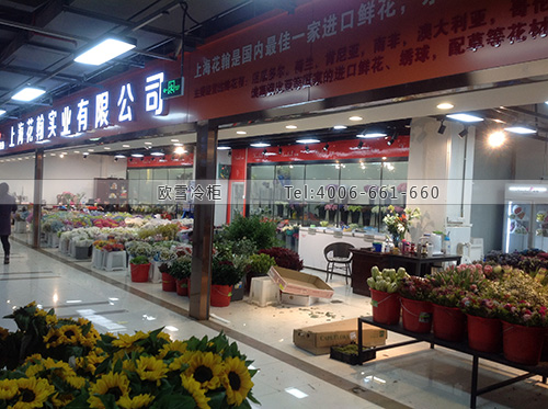 鮮花冷庫(kù)設(shè)計(jì)安裝.jpg