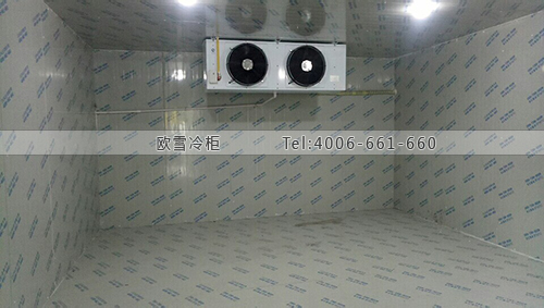 1596088037700118.jpg