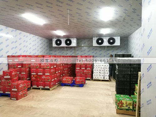 水果保鮮冷庫建造.jpg