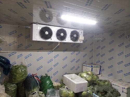 蔬菜保鮮冷庫(kù).jpg