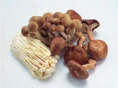 菌菇保鮮冷庫(kù).jpg