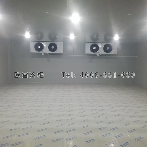 醫(yī)藥冷庫安裝.jpg