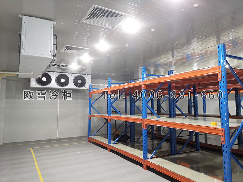 電商物流倉(cāng)儲(chǔ)冷庫(kù)安裝.jpg