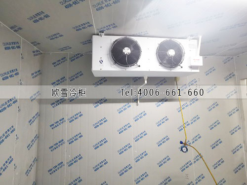 建個(gè)小型冷藏庫(kù)需要多少錢.jpg