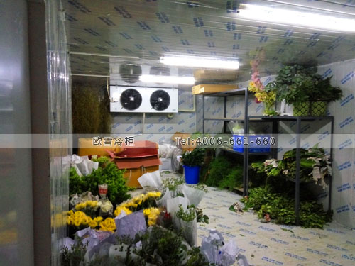 鮮花保鮮冷庫.jpg