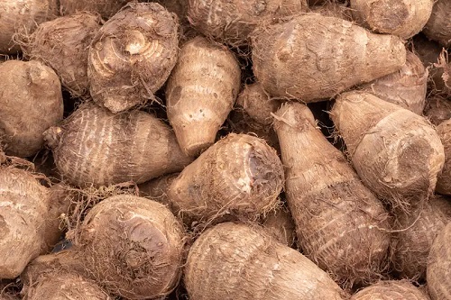 芋頭冷庫(kù)安裝.jpg 芋頭冷庫(kù)安裝.jpg