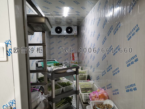 小型生產(chǎn)保鮮冷庫安裝.jpg