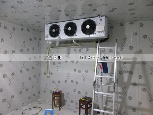 洋蔥冷庫.jpg