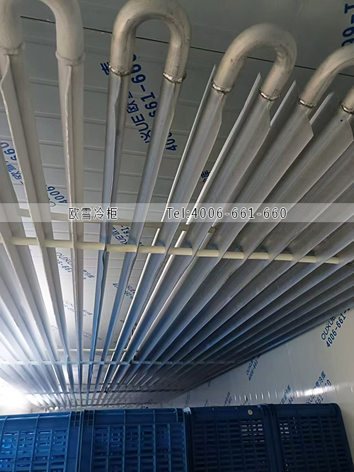 鋁排管冷庫.jpg
