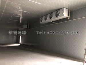 安福縣城關(guān)生豬定點(diǎn)屠宰廠肉類冷藏冷凍冷庫(kù)安裝