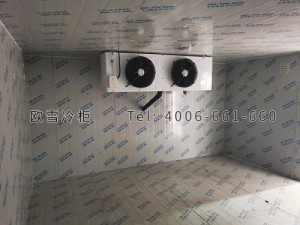 江蘇省南京市江寧區(qū)遠(yuǎn)方物流小型冷凍倉儲冷庫安裝