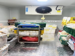 香港15立方小型食品冷凍冷庫安裝案例
