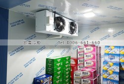 冷庫設計-廣西南寧小型酒水冷藏冷庫安裝