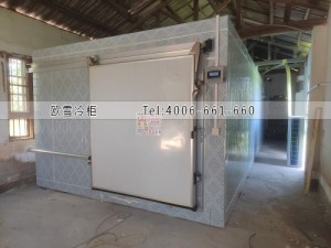 湖南長沙-18℃低溫冷凍冷庫安裝案例