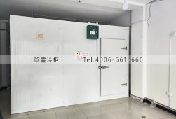 冷庫設計-重慶40立方的小型蔬菜保鮮冷庫安裝
