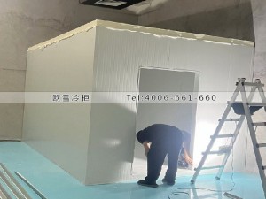 深圳光明區(qū)30立方小型化學原料冷藏冷庫安裝案例
