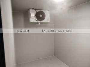 福建泉州水果店小型保鮮冷庫(kù)安裝案例